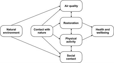 Reassessing green exercise research: unveiling methodological gaps and pathways for progress